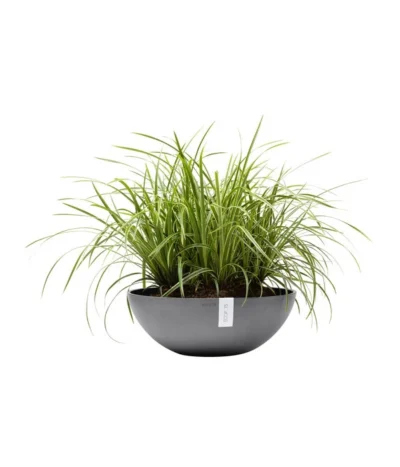 Ecopots Kunststoff-Topf Vienna, Rund, Grau, Ca. Ø50/H18 Cm -Haus Pflanzen Welt 6614457 WE FS 003 EcopotsKunststoffTopfViennarundgrau
