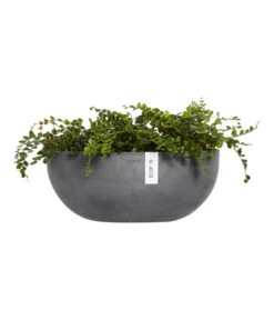 Ecopots Kunststoff-Schale Sofia Wall Mit Wassersystem, Oval, Grau, Ca. B43/H17,5/T25 Cm -Haus Pflanzen Welt 6614515 WE FS 003 EcopotsKunststoffSchaleSofiaWallmitWassersystemovalgrau
