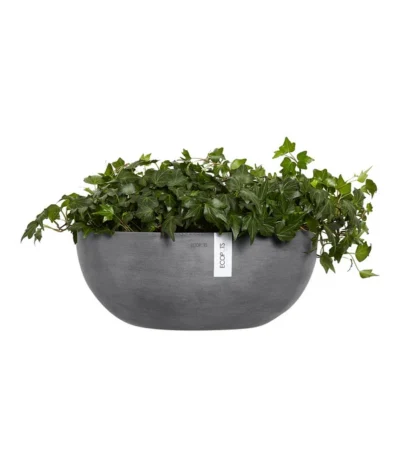 Ecopots Kunststoff-Schale Sofia Wall Mit Wassersystem, Oval, Grau, Ca. B43/H17,5/T25 Cm 10 Ecopots Kunststoff-Schale Sofia Wall Mit Wassersystem, Oval, Grau, Ca. B43/H17,5/T25 Cm -Haus Pflanzen Welt 6614515 WE FS 004 EcopotsKunststoffSchaleSofiaWallmitWassersystemovalgrau