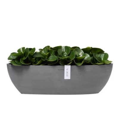 Ecopots Kunststoff-Schale Sofia Mit Wassersystem, Oval, Ca. B56/H16/T14 Cm -Haus Pflanzen Welt 6614580 WE FS 003 EcopotsKunststoffSchaleSofialangmitWassersystemoval