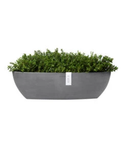 Ecopots Kunststoff-Schale Sofia Mit Wassersystem, Oval, Ca. B56/H16/T14 Cm -Haus Pflanzen Welt 6614580 WE FS 004 EcopotsKunststoffSchaleSofialangmitWassersystemoval