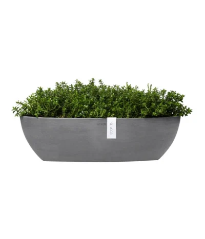 Ecopots Kunststoff-Schale Sofia Mit Wassersystem, Oval, Ca. B56/H16/T14 Cm -Haus Pflanzen Welt 6614580 WE FS 004 EcopotsKunststoffSchaleSofialangmitWassersystemoval