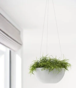 Ecopots Kunststoff-Hängeampel Brussels, Rund, Ca. Ø26,5/H13 Cm 12 Ecopots Kunststoff-Hängeampel Brussels, Rund, Ca. Ø26,5/H13 Cm -Haus Pflanzen Welt 6614606 WE MO 001 EcopotsKunststoffHaengeampelBrusselsrund