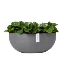 Ecopots Kunststoff-Schale Sofia Mit Wassersystem, Oval, Grau, Ca. B43/H17,5/T25 Cm -Haus Pflanzen Welt 6614713 WE FS 002 EcopotsKunststoffSchaleSofiabreitovalgrau