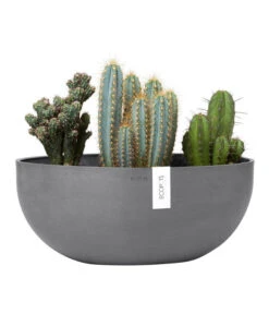 Ecopots Kunststoff-Schale Sofia Mit Wassersystem, Oval, Grau, Ca. B43/H17,5/T25 Cm -Haus Pflanzen Welt 6614713 WE FS 003 EcopotsKunststoffSchaleSofiabreitovalgrau