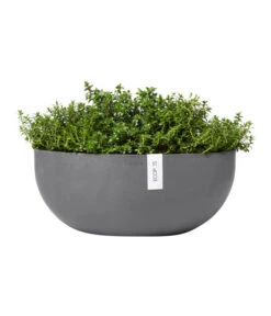 Ecopots Kunststoff-Schale Sofia Mit Wassersystem, Oval, Grau, Ca. B43/H17,5/T25 Cm -Haus Pflanzen Welt 6614713 WE FS 004 EcopotsKunststoffSchaleSofiabreitovalgrau