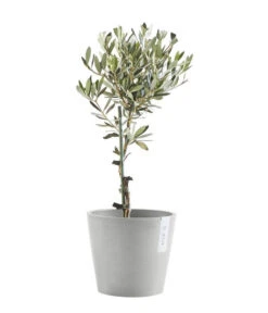 Ecopots Kunststoff-Topf Amsterdam Mit Wassersystem, Rund, Hellgrau -Haus Pflanzen Welt 6614846 WE FS 004 EcopotsKunststoffTopfAmsterdammitWassersystemrundhellgrau