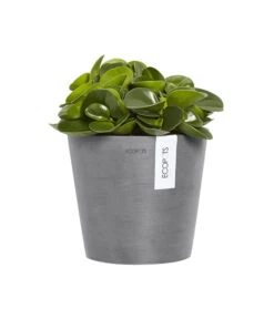 Ecopots Kunststoff-Topf Amsterdam Wall, Rund, Grau, Ca. Ø21,8/H17,5 Cm -Haus Pflanzen Welt 6614887 WE FS 003 EcopotsKunststoffTopfAmsterdamWallrundgrau