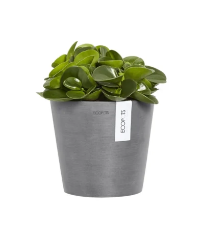Ecopots Kunststoff-Topf Amsterdam Wall, Rund, Grau, Ca. Ø21,8/H17,5 Cm -Haus Pflanzen Welt 6614887 WE FS 003 EcopotsKunststoffTopfAmsterdamWallrundgrau