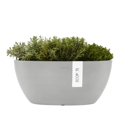 Ecopots Kunststoff-Schale Sofia Mit Wassersystem, Oval, Ca. B30/H13,5/T13 Cm -Haus Pflanzen Welt 6614903 WE FS 003 EcopotsKunststoffSchaleSofiamitWassersystemoval