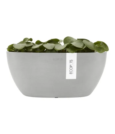 Ecopots Kunststoff-Schale Sofia Mit Wassersystem, Oval, Ca. B30/H13,5/T13 Cm -Haus Pflanzen Welt 6614903 WE FS 004 EcopotsKunststoffSchaleSofiamitWassersystemoval