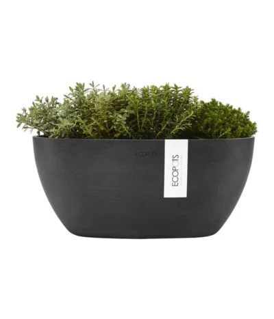 Ecopots Kunststoff-Schale Sofia Mit Wassersystem, Oval, Dunkelgrau, Ca. B30/H13,5/T13 Cm -Haus Pflanzen Welt 6614929 WE FS 003 EcopotsKunststoffSchaleSofiamitWassersystemovaldunkelgrau