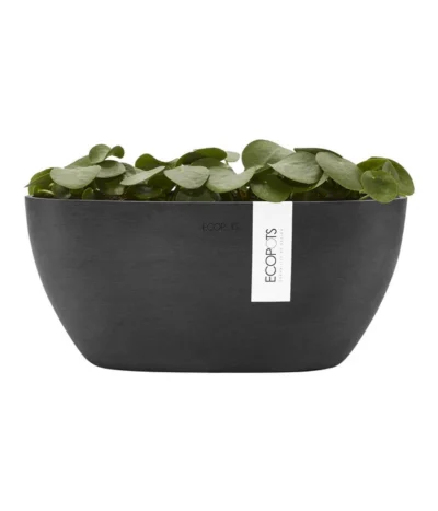 Ecopots Kunststoff-Schale Sofia Mit Wassersystem, Oval, Dunkelgrau, Ca. B30/H13,5/T13 Cm -Haus Pflanzen Welt 6614929 WE FS 004 EcopotsKunststoffSchaleSofiamitWassersystemovaldunkelgrau