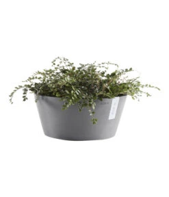 Ecopots Kunststoff-Topf Frankfurt, Rund -Haus Pflanzen Welt 6614952 WE FS 003 EcopotsKunststoffTopfFrankfurtrund