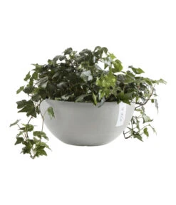 Ecopots Kunststoff-Topf Brussels, Rund 11 Ecopots Kunststoff-Topf Brussels, Rund -Haus Pflanzen Welt 6614978 WE FS 004 EcopotsKunststoffTopfBrusselsrund