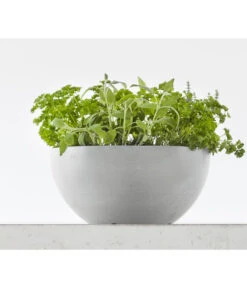 Ecopots Kunststoff-Topf Brussels, Rund 12 Ecopots Kunststoff-Topf Brussels, Rund -Haus Pflanzen Welt 6614978 WE MO 001 EcopotsKunststoffTopfBrusselsrund