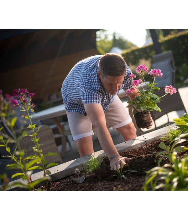 Floragard Blumenerde Box, 60 L 4 Floragard Blumenerde Box, 60 L – Bild 2