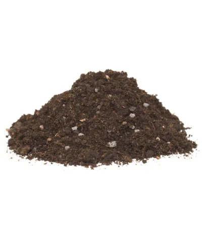 Floragard Zitrus- Und Mediterranpflanzenerde 8 Floragard Zitrus- Und Mediterranpflanzenerde -Haus Pflanzen Welt 6624191 WE DE 001 FloragardZitruspflanzundMediterranpflanzenerde