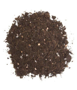 Floragard Zitrus- Und Mediterranpflanzenerde -Haus Pflanzen Welt 6624191 WE DE 002 FloragardZitruspflanzundMediterranpflanzenerde