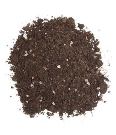 Floragard Zitrus- Und Mediterranpflanzenerde 9 Floragard Zitrus- Und Mediterranpflanzenerde -Haus Pflanzen Welt 6624191 WE DE 002 FloragardZitruspflanzundMediterranpflanzenerde