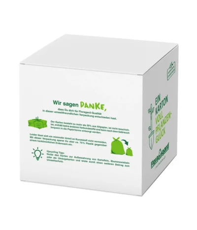 Floragard Aktiv Grünpflanzen- Und Palmenerde Box, 60 L