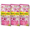 Floragard Orchideenerde, 3 X 5 L -Haus Pflanzen Welt 6624241 WE FS 001 FloragardOrchideenerde3x5l