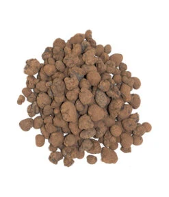 Floragard Tongranulat -Haus Pflanzen Welt 6624290 WE DE 001 FloragardTongranulat