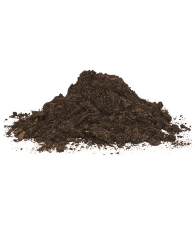 Floragard Aktiv Grünpflanzen- Und Palmenerde -Haus Pflanzen Welt 6624308 WE DE 001 FloragardAktivGruenpflanzenundPalmenerde