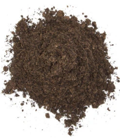 Floragard Schildkrötensubstrat -Haus Pflanzen Welt 6624613 WE DE 001 FloragardSchildkroetensubstrat