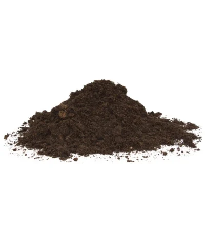 Floragard Aktiv Tomaten- Und Gemüseerde 8 Floragard Aktiv Tomaten- Und Gemüseerde -Haus Pflanzen Welt 6624688 WE DE 001 FloragardAktivTomatenundGemueseerde