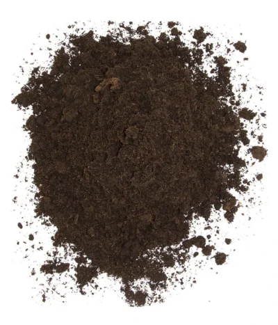 Floragard Aktiv Tomaten- Und Gemüseerde 9 Floragard Aktiv Tomaten- Und Gemüseerde -Haus Pflanzen Welt 6624688 WE DE 002 FloragardAktivTomatenundGemueseerde