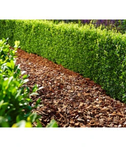 Floragard Pinienrinde 25-40 Mm, 2 X 60 L 7 Floragard Pinienrinde 25-40 Mm, 2 X 60 L -Haus Pflanzen Welt 6624837 WE MO 001 FloragardPinienrinde25 40mm2x60l