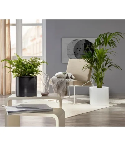 Scheurich Keramik-Übertopf, Rund, Ca. Ø33 Cm -Haus Pflanzen Welt 6642151 PR MO 001 TopfPanna