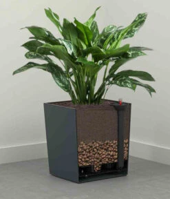 Siena Garden Kunststoff-Topf Biron, Eckig, Ca. B40/H41,5/T40 Cm -Haus Pflanzen Welt 6655336 WE DE 002 PflanzgefaessBironGraphit