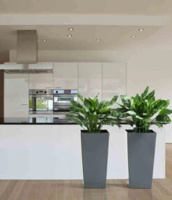 Siena Garden Kunststoff-Säule Lyon, Konisch, Ca. B35/H68/T35 Cm -Haus Pflanzen Welt 6655351 WE MO 001 PflanzgefaessLyon35Anthrazit