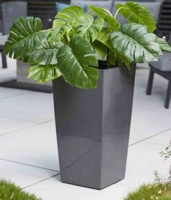 Siena Garden Kunststoff-Säule Lyon, Konisch, Ca. B35/H68/T35 Cm -Haus Pflanzen Welt 6655351 WE MO 002 PflanzgefaessLyon35Anthrazit