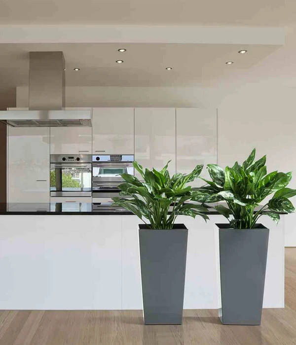 Siena Garden Kunststoff-Topf Lyon, Konisch, Ca. B40/H75/T40 Cm 4 Siena Garden Kunststoff-Topf Lyon, Konisch, Ca. B40/H75/T40 Cm – Bild 2