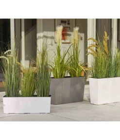 Siena Garden Kunststoff-Kasten Craon, Eckig, Grau, Ca. B56/H36,5/T19 Cm -Haus Pflanzen Welt 6655492 WE MO 002 PflanzgefaessCraonGrau