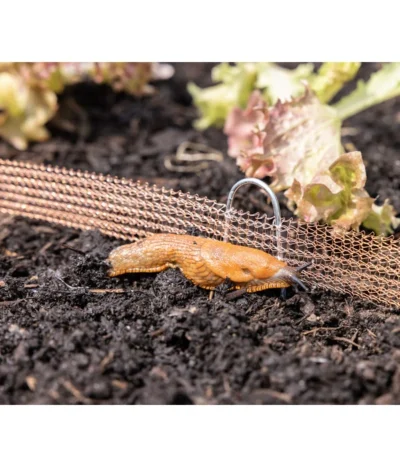 Windhager Schneckenzaun, Ca. L8 M -Haus Pflanzen Welt 6663322 WE MO 001 WindhagerSchneckenzaun