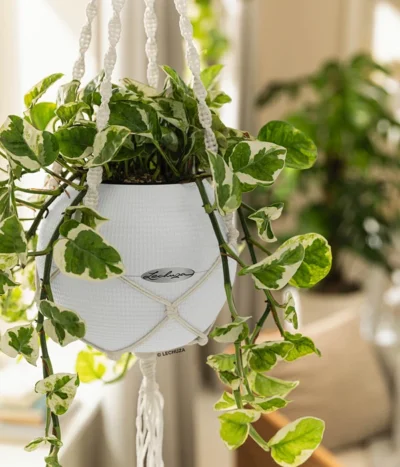 LECHUZA® PURO Color, All-in-One-Set, Inkl. Makramee-Aufhängung -Haus Pflanzen Welt 6695415 WE MO 001 PuroColorMakrameeSetWeiss