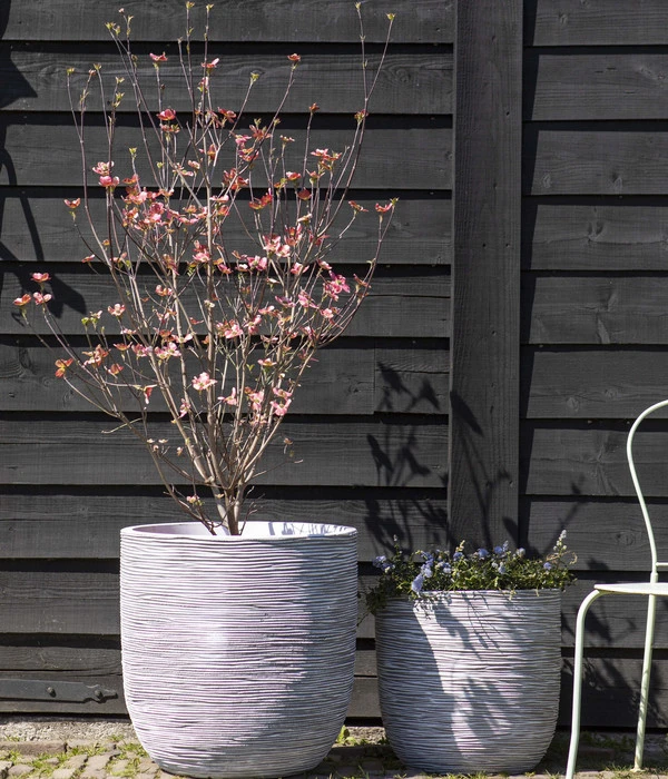 Capi Europe Kunststoff-Topf Rib, Rund 4 Capi Europe Kunststoff-Topf Rib, Rund – Bild 2