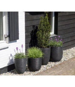 Capi Europe Kunststoff-Topf Rib Hoch, Rund 7 Capi Europe Kunststoff-Topf Rib Hoch, Rund -Haus Pflanzen Welt 6697304 WE MO 002 CapiEuropeKunststoffTopfRibrund