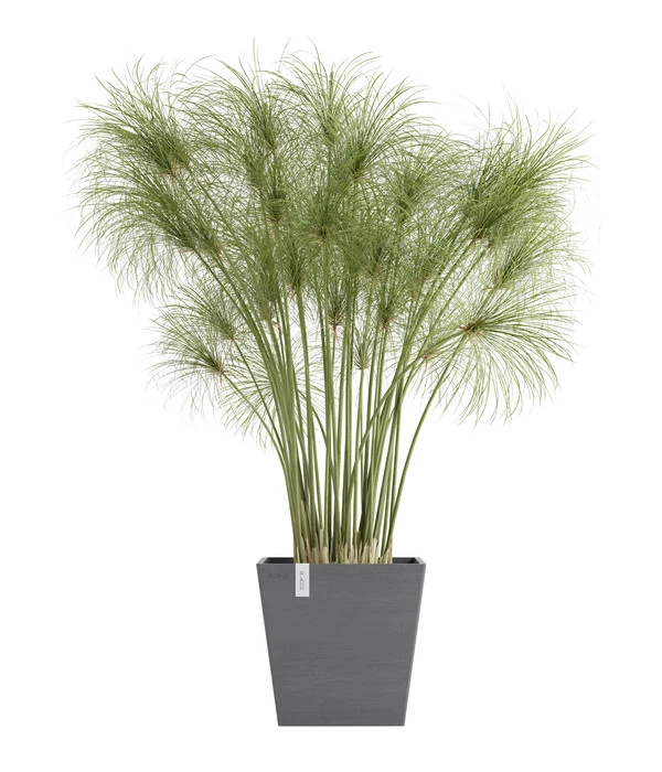 Ecopots Kunststoff-Topf Rotterdam Inkl. Wassersystem, Quadratisch 3 Ecopots Kunststoff-Topf Rotterdam Inkl. Wassersystem, Quadratisch