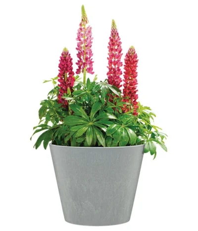 Scheurich Kunststoff-Topf Purista+, Rund -Haus Pflanzen Welt 6700488 WE FS 002 ScheurichKunststoffTopfPuristarund