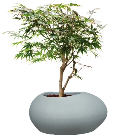 Scheurich Kunststoff-Topf Flow, Oval -Haus Pflanzen Welt 6701247 WE FS 002 ScheurichKunststoffTopfFlowoval