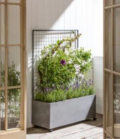 Dehner Leichtbeton-Kasten Mit Spalier Und Rollen, Ca. B100/H142/T37 Cm, Grau -Haus Pflanzen Welt 6728448 WE MO 001 DehnerLeichtbetonKastenmitSpalier