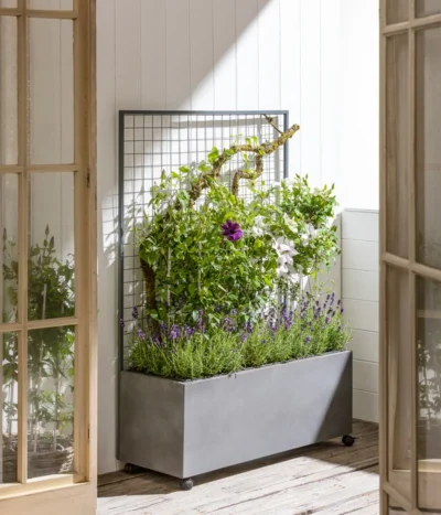 Dehner Leichtbeton-Kasten Mit Spalier Und Rollen, Ca. B100/H142/T37 Cm, Grau -Haus Pflanzen Welt 6728448 WE MO 001 DehnerLeichtbetonKastenmitSpalier