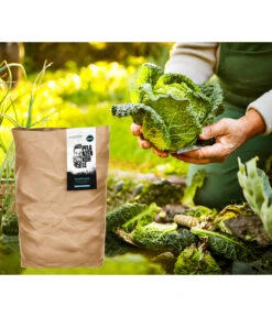 Moola Pflanzenkohle 5 Moola Pflanzenkohle -Haus Pflanzen Welt 6730873 WE MO 001 MoolaPflanzenkohle