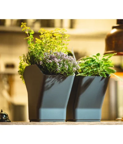 Kunststoff-Pflanzbaum-Set, Grau, Ca. B31,3/H77,3/31,3 Cm 16 Kunststoff-Pflanzbaum-Set, Grau, Ca. B31,3/H77,3/31,3 Cm -Haus Pflanzen Welt 6739528 WE MO 001 KunststoffPflanzbaumSetgrau