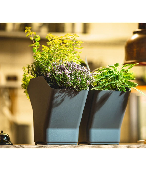 Kunststoff-Pflanzbaum-Set, Grau, Ca. B31,3/H77,3/31,3 Cm 4 Kunststoff-Pflanzbaum-Set, Grau, Ca. B31,3/H77,3/31,3 Cm – Bild 2